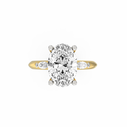 ASRI0145