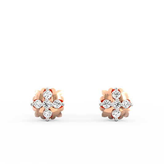 AER0010