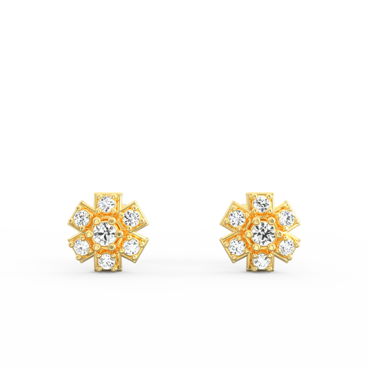 AER0011