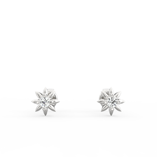 AER0019
