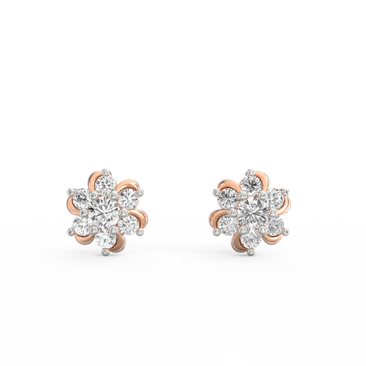 AER0028
