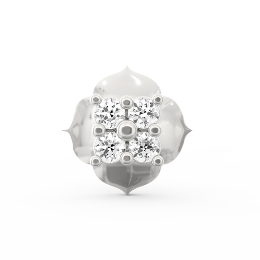 ANP0002