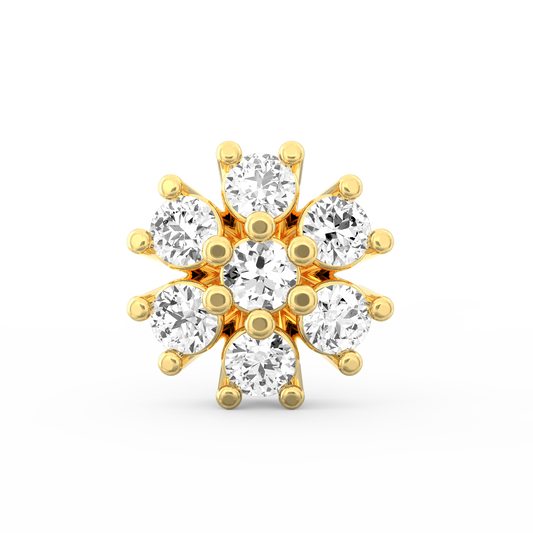 ANP0004