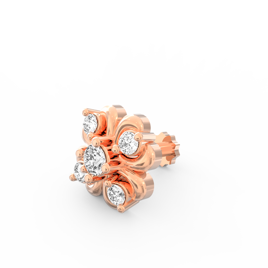 ANP0010