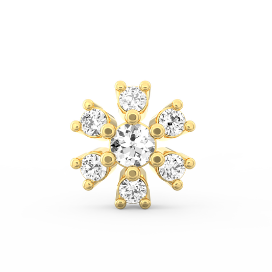 ANP0011