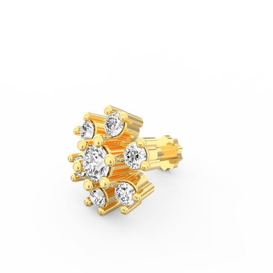 ANP0011