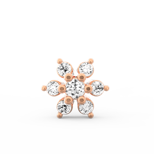ANP0014