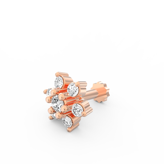 ANP0014