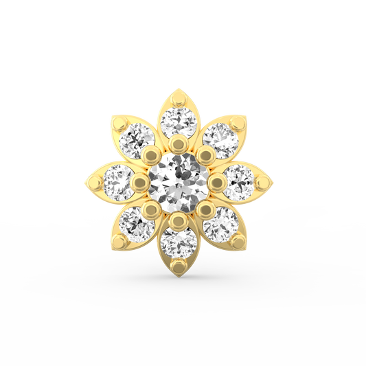ANP0015