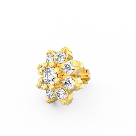 ANP0015