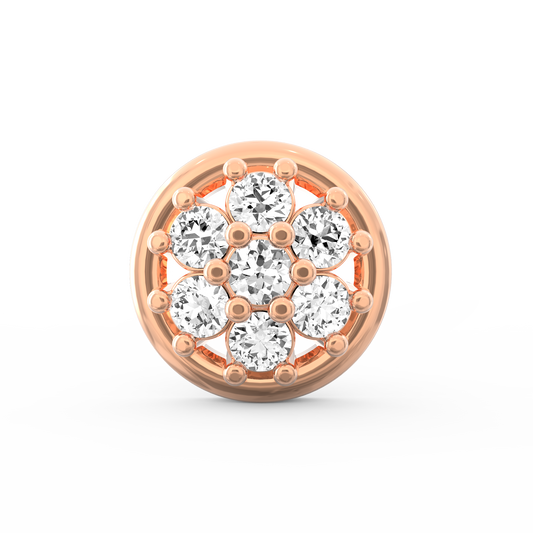 ANP0017