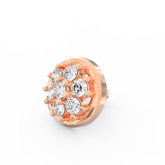 ANP0017