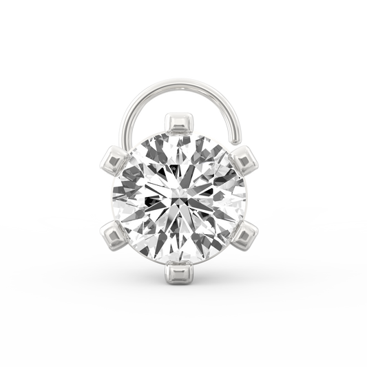 ANP0019