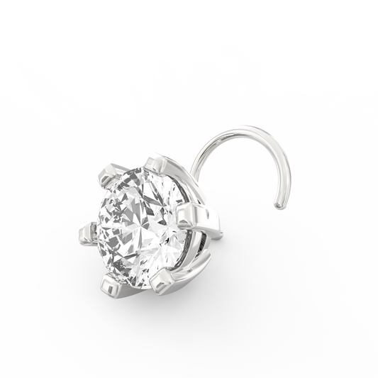ANP0019