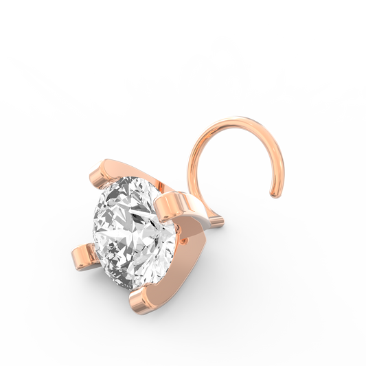 ANP0020