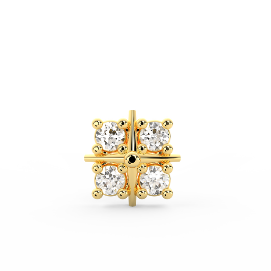 ANP0024