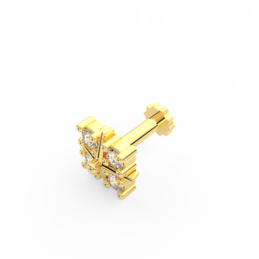 ANP0024