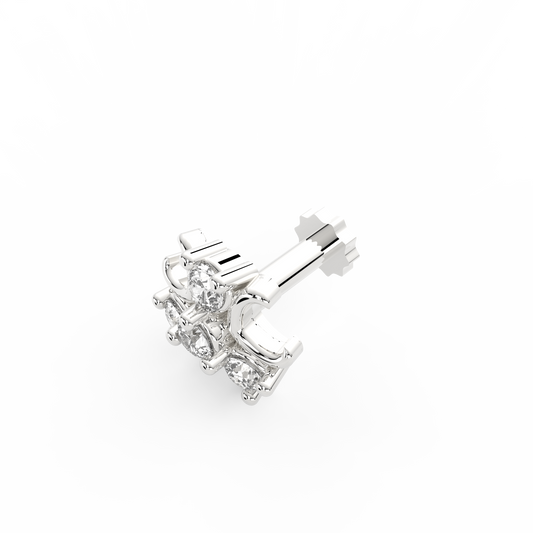 ANP0026