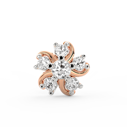 ANP0027