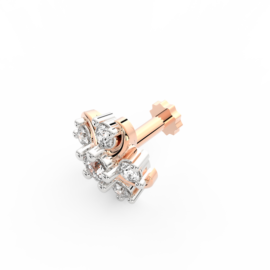 ANP0027