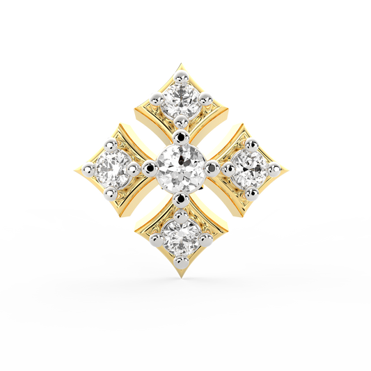 ANP0028