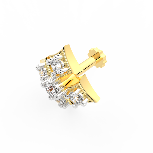 ANP0028