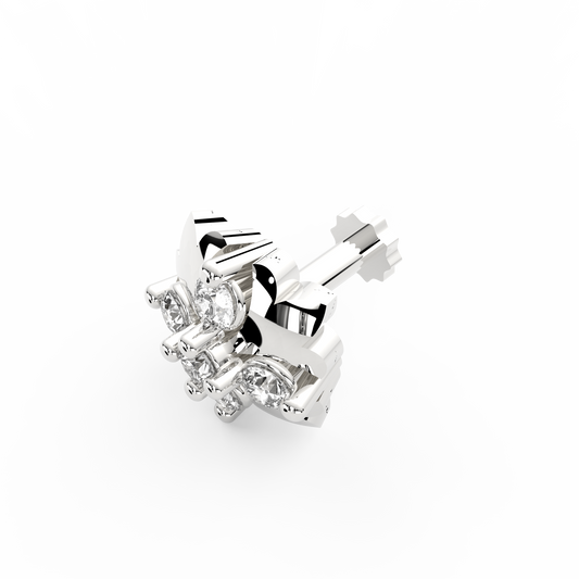 ANP0029