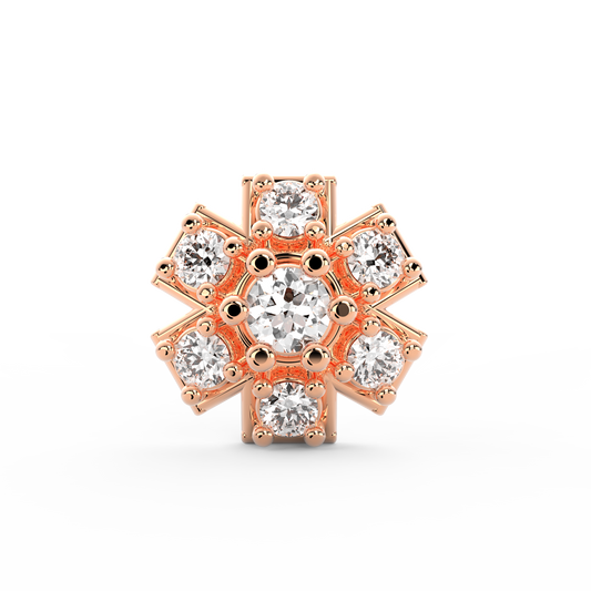 ANP0030