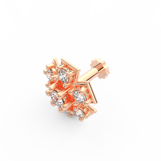ANP0030