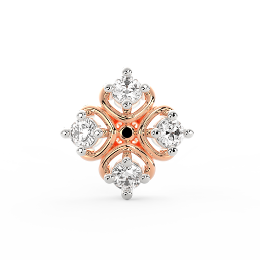 ANP0031