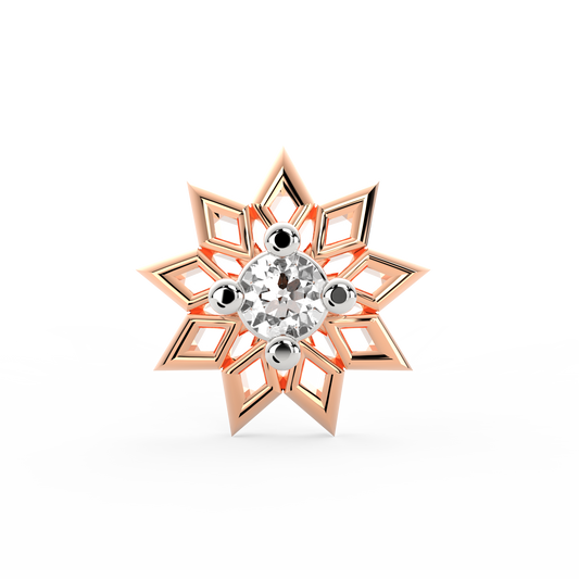 ANP0033