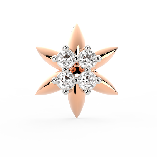 ANP0036