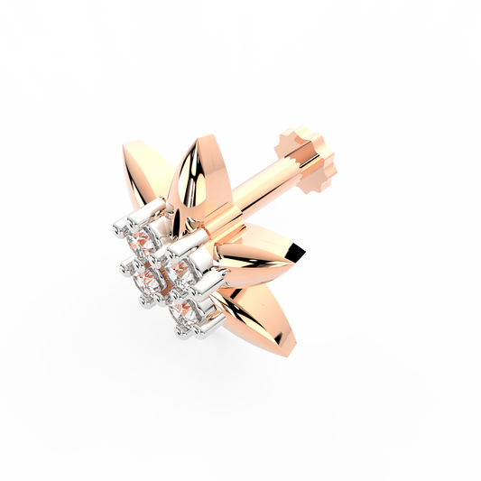 ANP0036