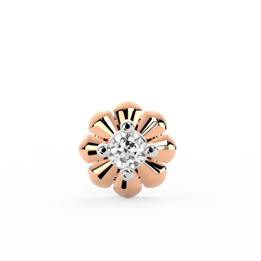 ANP0037