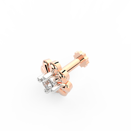 ANP0037