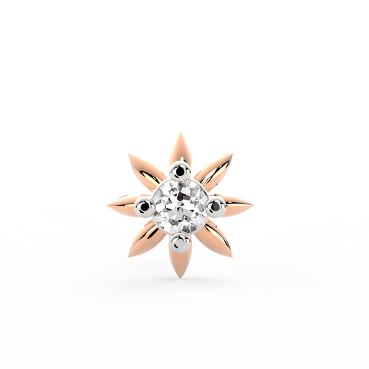 ANP0038
