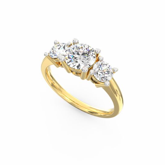 ASRI0176