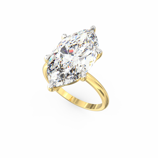 ASRI0373